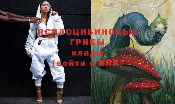 apvp Лиски