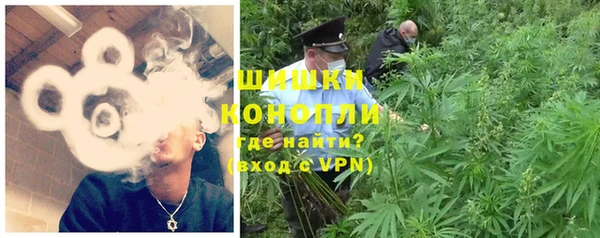 прущие крисы Тайга