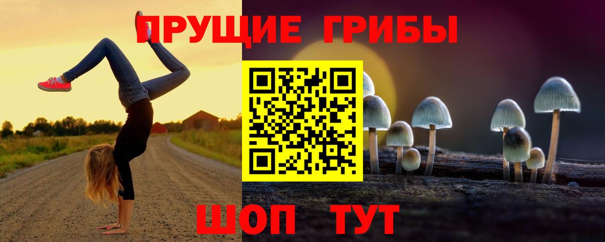 Псилоцибиновые грибы прущие грибы  Вход с VPN  Лобня 