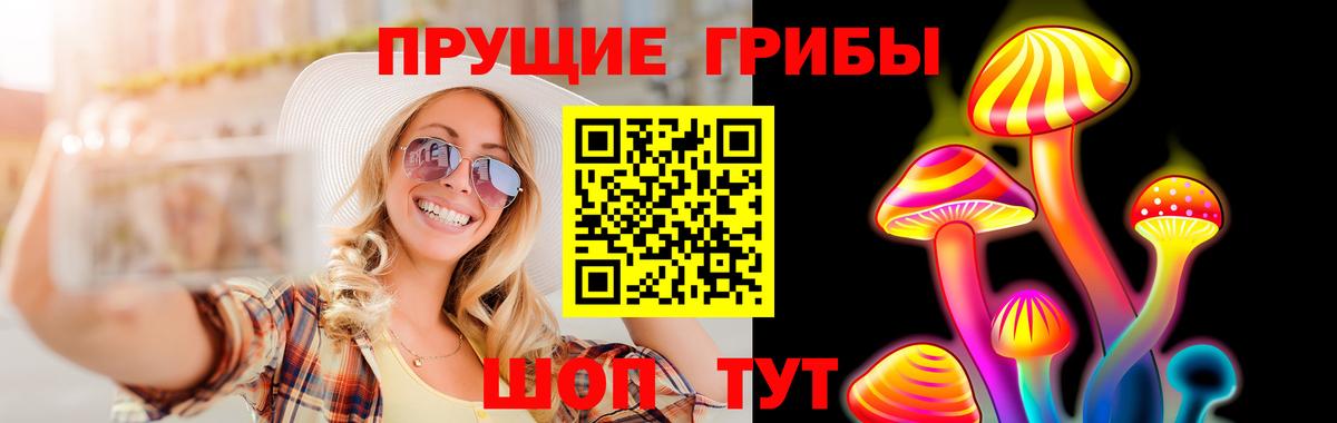 Галлюциногенные грибы Psilocybine cubensis Лобня